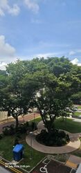 Blk 768 Pasir Ris Street 71 (Pasir Ris), HDB 4 Rooms #618973581